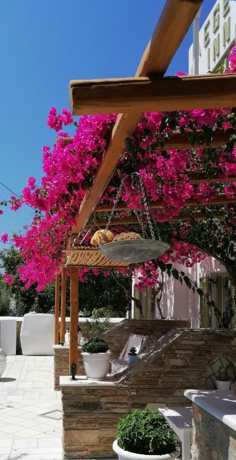 Aegeo Inn Antiparos Town Dış mekan fotoğraf